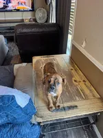 processed/1d310859-2477-4696-a08a-6fede2580979/listing/62a43fa6-e5b6-4b7b-bb63-aa1eeb0b56fa/b3a793dd-6128-4082-b956-b6a183be5b71