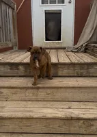 processed/1d310859-2477-4696-a08a-6fede2580979/listing/62a43fa6-e5b6-4b7b-bb63-aa1eeb0b56fa/d5109543-4ddf-4951-8e17-e21de4b78780