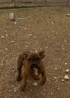 processed/1d310859-2477-4696-a08a-6fede2580979/listing/62a43fa6-e5b6-4b7b-bb63-aa1eeb0b56fa/ee2c29a5-6e9c-4e4c-9054-890e385b7c9e