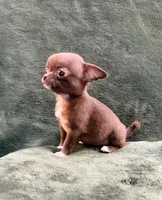 processed/1d36a7ab-ae24-4968-89ab-beb60d12c0dc/listing/1a1b7a00-28ee-4f09-871c-f8e33760177e/5afcdfca-6a1d-4ca2-a567-dfa1e5eaa72c