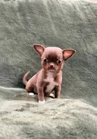 processed/1d36a7ab-ae24-4968-89ab-beb60d12c0dc/listing/1a1b7a00-28ee-4f09-871c-f8e33760177e/ed645849-be00-4693-acbb-f6c48c454e51