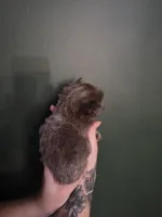 processed/1d36a7ab-ae24-4968-89ab-beb60d12c0dc/listing/b9efcd2e-c581-47a5-aba3-98660f314567/0afc2425-2b3c-4bed-902a-b9baf95e446b