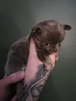 processed/1d36a7ab-ae24-4968-89ab-beb60d12c0dc/listing/b9efcd2e-c581-47a5-aba3-98660f314567/4ec98a88-d6d9-4446-88bb-4ac8be8e10a0