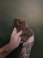 processed/1d36a7ab-ae24-4968-89ab-beb60d12c0dc/listing/b9efcd2e-c581-47a5-aba3-98660f314567/792ad0f8-7c63-4815-8b00-ed8c6b08cb98