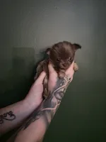 processed/1d36a7ab-ae24-4968-89ab-beb60d12c0dc/listing/b9efcd2e-c581-47a5-aba3-98660f314567/9e1791fe-6012-4194-8930-1bbdac76bbbb