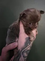 processed/1d36a7ab-ae24-4968-89ab-beb60d12c0dc/listing/b9efcd2e-c581-47a5-aba3-98660f314567/bf62afe0-8842-478a-8335-10f4137de36c