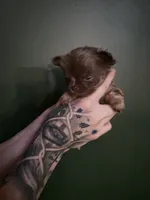 processed/1d36a7ab-ae24-4968-89ab-beb60d12c0dc/listing/b9efcd2e-c581-47a5-aba3-98660f314567/c0d44c52-be89-4f7e-9cfd-d12988eb5273