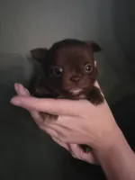 processed/1d36a7ab-ae24-4968-89ab-beb60d12c0dc/listing/c23354de-37f3-4959-a5cf-72b3606df5d0/1677d2a7-8e7a-4672-8756-4804787f750d