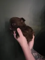 processed/1d36a7ab-ae24-4968-89ab-beb60d12c0dc/listing/c23354de-37f3-4959-a5cf-72b3606df5d0/1d764a3f-1a91-4496-b553-7cf611b02cf0