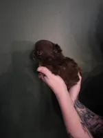 processed/1d36a7ab-ae24-4968-89ab-beb60d12c0dc/listing/c23354de-37f3-4959-a5cf-72b3606df5d0/25cced16-c6cc-4fef-896b-2818fd163e01