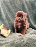 processed/1d36a7ab-ae24-4968-89ab-beb60d12c0dc/listing/c23354de-37f3-4959-a5cf-72b3606df5d0/67c2769b-4d12-425a-b051-e53536363a76