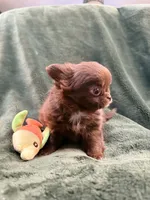 processed/1d36a7ab-ae24-4968-89ab-beb60d12c0dc/listing/c23354de-37f3-4959-a5cf-72b3606df5d0/ca7420ba-1d0d-4a67-b9be-658d8e2c0cdf