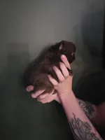 processed/1d36a7ab-ae24-4968-89ab-beb60d12c0dc/listing/c23354de-37f3-4959-a5cf-72b3606df5d0/f37335ea-c81d-45a4-8203-6b81ea772d12