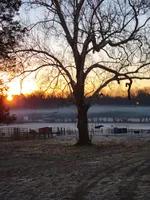 processed/1d3ded94-cfe2-4a80-bbcb-46c05d429797/facility/8540ff4d-cf0e-4b07-a9c3-3fe8e29c3724