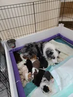 processed/1d3ded94-cfe2-4a80-bbcb-46c05d429797/facility/954bf0ec-969b-4577-ad66-4bfd7b7f0aca