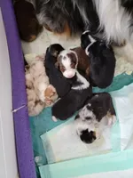 processed/1d3ded94-cfe2-4a80-bbcb-46c05d429797/facility/e0a3fc6f-c47c-40f5-9326-0f55afe1a9bc