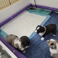 Facility photo