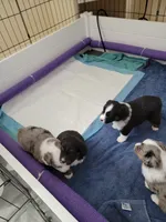 processed/1d3ded94-cfe2-4a80-bbcb-46c05d429797/facility/f177b19a-e081-45da-bdfe-1acfddedf41e