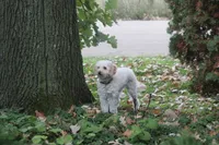 processed/1d462198-4a9b-42a5-8f7f-0b20e0b15aca/facility/17ec1e81-24e7-4d31-92fc-22e6c083c4d0