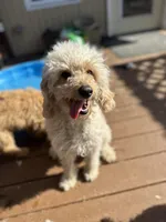 processed/1d462198-4a9b-42a5-8f7f-0b20e0b15aca/facility/25f7813f-b8b2-4184-ae3b-6706a6d0a9eb