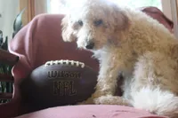 processed/1d462198-4a9b-42a5-8f7f-0b20e0b15aca/facility/410997e9-8dca-495f-9e89-41f10c37277a