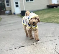 processed/1d462198-4a9b-42a5-8f7f-0b20e0b15aca/facility/4a407f05-9513-4065-aeee-6bccdd96101c