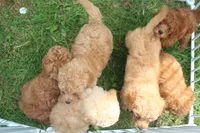 processed/1d462198-4a9b-42a5-8f7f-0b20e0b15aca/facility/a4ab8aee-f0ce-4d78-b011-ecc0eaf3abab