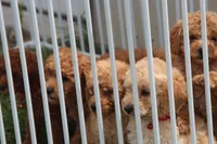 processed/1d462198-4a9b-42a5-8f7f-0b20e0b15aca/facility/c9c05919-625c-48f1-8c91-d8feb51b0c6d