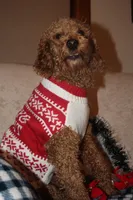 processed/1d462198-4a9b-42a5-8f7f-0b20e0b15aca/facility/ebec9473-1812-4830-90f3-681f3d714c7d