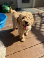 processed/1d462198-4a9b-42a5-8f7f-0b20e0b15aca/facility/f72fafcd-9733-4a8b-a2d9-4190f9dd927c