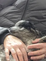 processed/1d57adcf-8018-4d22-a367-b824bd5a91d4/listing/49eea937-7450-4dc6-8db0-355131e89957/1902b12f-d155-4103-95ff-981c58ae0dc0