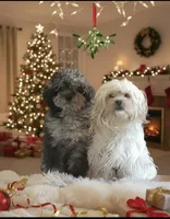 processed/1d57adcf-8018-4d22-a367-b824bd5a91d4/listing/49eea937-7450-4dc6-8db0-355131e89957/23bd67d2-17e2-4462-9c51-111836f4544e