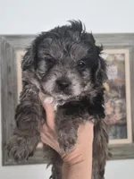 processed/1d57adcf-8018-4d22-a367-b824bd5a91d4/listing/49eea937-7450-4dc6-8db0-355131e89957/3d66aeff-bceb-4993-ba0a-e86bbea6bca5