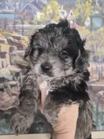 processed/1d57adcf-8018-4d22-a367-b824bd5a91d4/listing/49eea937-7450-4dc6-8db0-355131e89957/57dd498d-a8fa-417b-a45e-211d13b54739