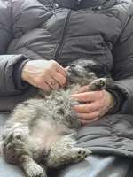 processed/1d57adcf-8018-4d22-a367-b824bd5a91d4/listing/49eea937-7450-4dc6-8db0-355131e89957/8fbdfa3f-201b-4bb4-a294-ec3f45ed0c3d