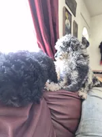 processed/1d57adcf-8018-4d22-a367-b824bd5a91d4/listing/49eea937-7450-4dc6-8db0-355131e89957/ea193da7-b04f-44cd-9d10-9b1291d7325c