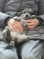 processed/1d57adcf-8018-4d22-a367-b824bd5a91d4/listing/49eea937-7450-4dc6-8db0-355131e89957/ecd2a76b-901e-47fe-b389-04af15332595