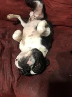 processed/1d620fce-acf1-4af4-bfe6-27a2ab81c108/facility/72d98e51-6a54-47b8-b47f-77bd73cf44b8