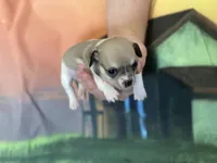 processed/1d620fce-acf1-4af4-bfe6-27a2ab81c108/facility/7d9da5bc-8f5a-4178-97aa-34ca5ecf31cb