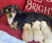 processed/1d620fce-acf1-4af4-bfe6-27a2ab81c108/facility/c29dee5e-da74-497b-9963-6f18ecb6359e