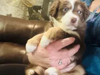 processed/1d620fce-acf1-4af4-bfe6-27a2ab81c108/listing/93567518-0ca2-4134-a5f4-937686998ca2/044bf996-ce3b-426d-ae97-af06dfbac142