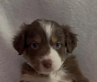 processed/1d620fce-acf1-4af4-bfe6-27a2ab81c108/listing/93567518-0ca2-4134-a5f4-937686998ca2/155db0af-4181-47bd-85c4-3634be0f54a5