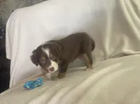 processed/1d620fce-acf1-4af4-bfe6-27a2ab81c108/listing/93567518-0ca2-4134-a5f4-937686998ca2/98f9fd06-6cb3-46e0-9a65-98db41aaa3cf