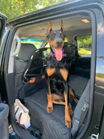 processed/1d69eca0-88fe-44ac-86a6-6f67cd0775ef/facility/0822afef-661c-45e6-a50c-ade0d9524928