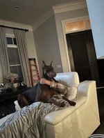 processed/1d69eca0-88fe-44ac-86a6-6f67cd0775ef/facility/22c7fd74-887b-4777-ab13-26d3c1db97e5