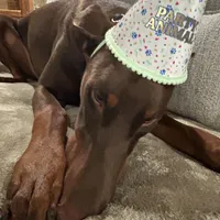 processed/1d69eca0-88fe-44ac-86a6-6f67cd0775ef/facility/45c3ba0a-c00a-41c5-adb5-3f70406d8ac5