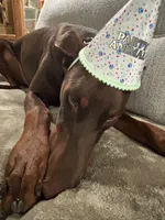 processed/1d69eca0-88fe-44ac-86a6-6f67cd0775ef/facility/45c3ba0a-c00a-41c5-adb5-3f70406d8ac5