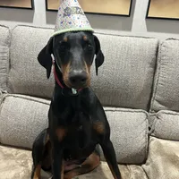 processed/1d69eca0-88fe-44ac-86a6-6f67cd0775ef/facility/6f3cdac2-40e3-4916-9016-273a0fa1f860