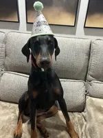 processed/1d69eca0-88fe-44ac-86a6-6f67cd0775ef/facility/6f3cdac2-40e3-4916-9016-273a0fa1f860