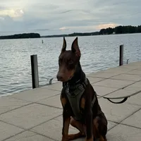 processed/1d69eca0-88fe-44ac-86a6-6f67cd0775ef/facility/72eac37f-a6f8-4505-a1e6-429bc92989d3